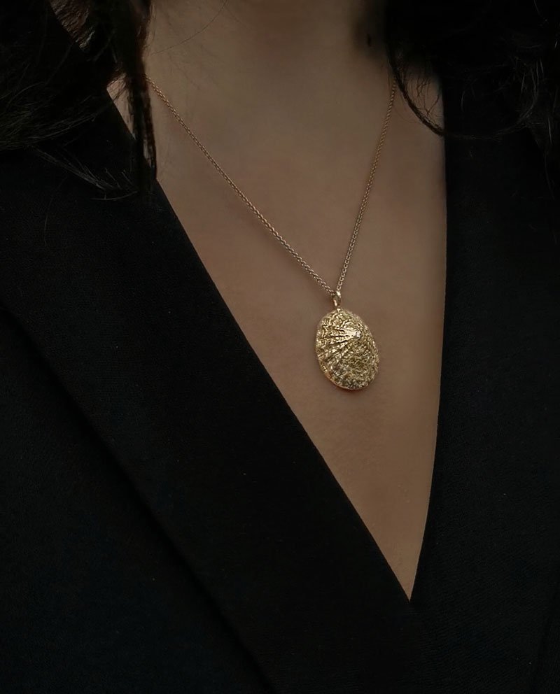 necklace with abelone shell close up