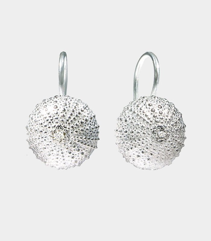 big silver sea urchin